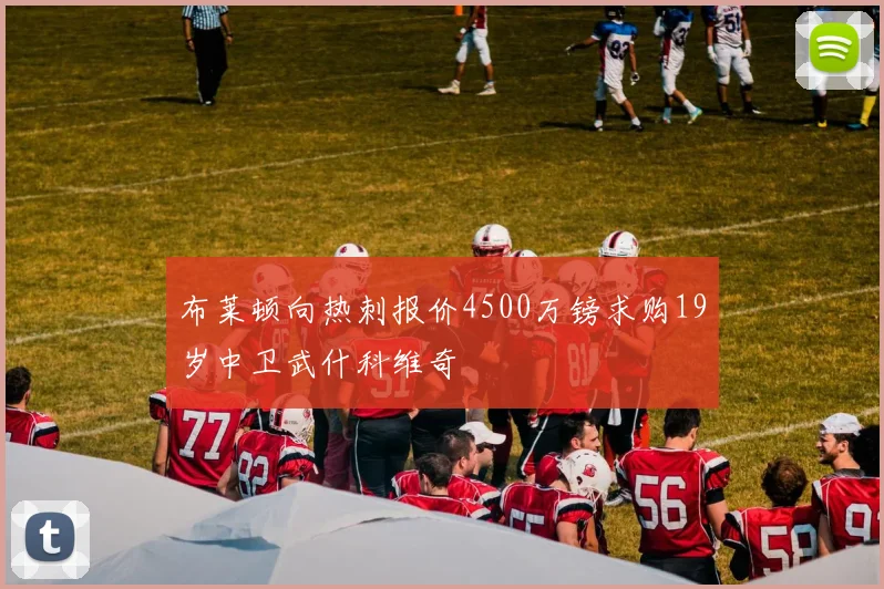 布莱顿向热刺报价4500万镑求购19岁中卫武什科维奇